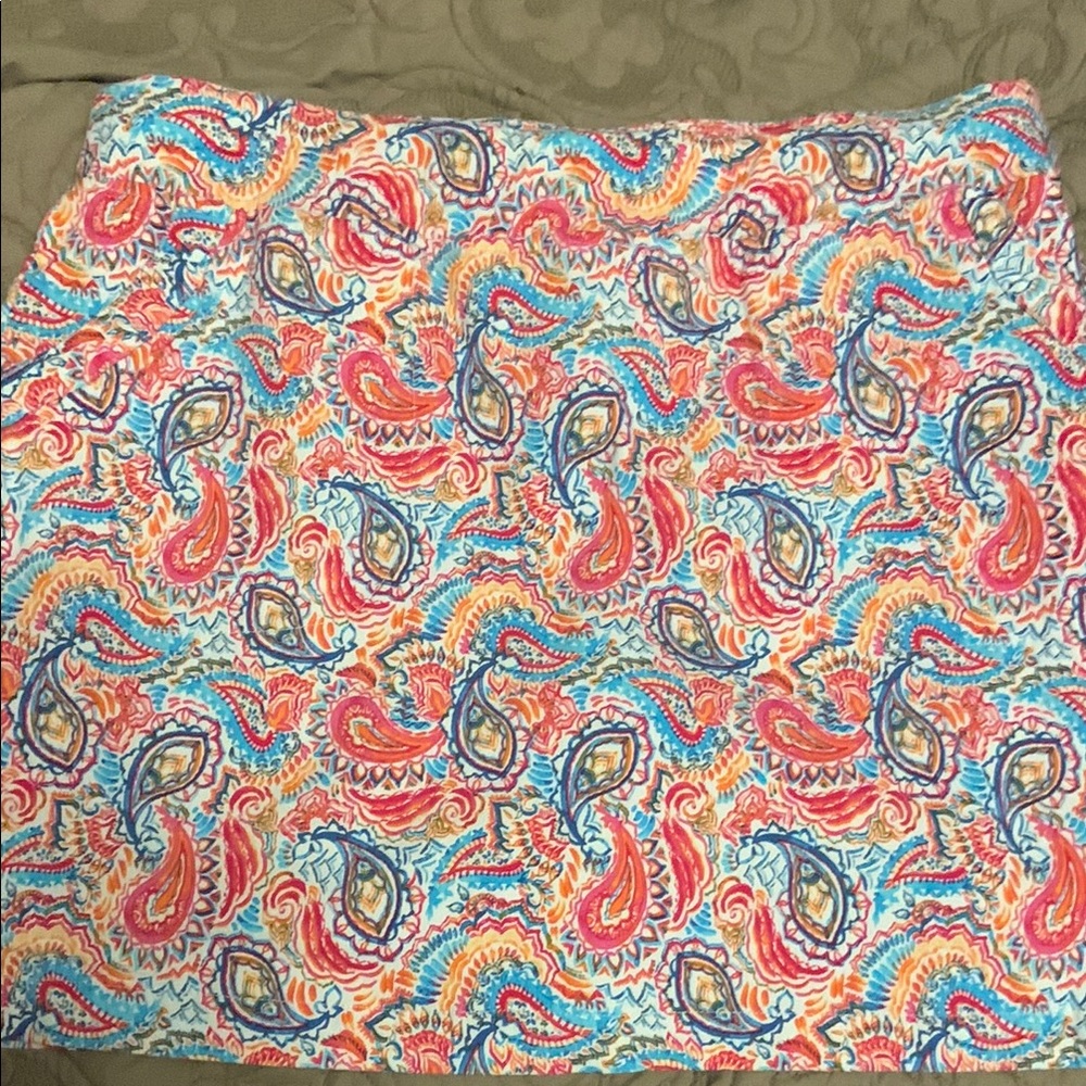 Colorful Paisley Women's Skirt